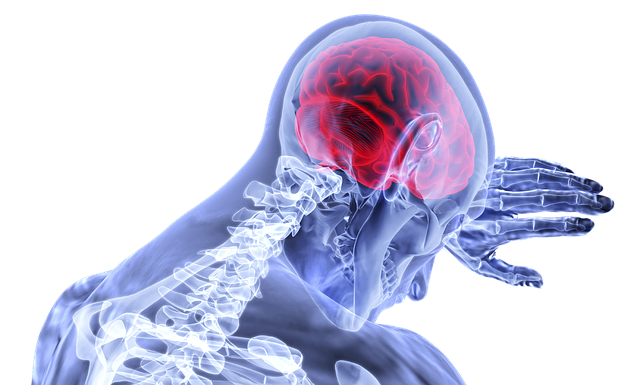 Loss or Blurred Vision After Head Injury: Types of Issues and What You Can Do