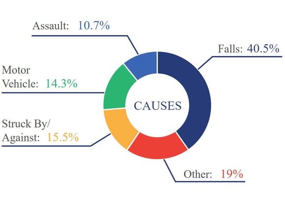 Brain Injury Pie Chart