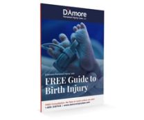 Birth Injury Guide Book
